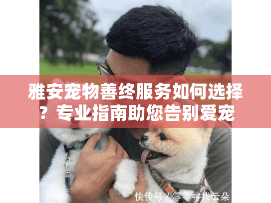 雅安宠物善终服务如何选择？专业指南助您告别爱宠