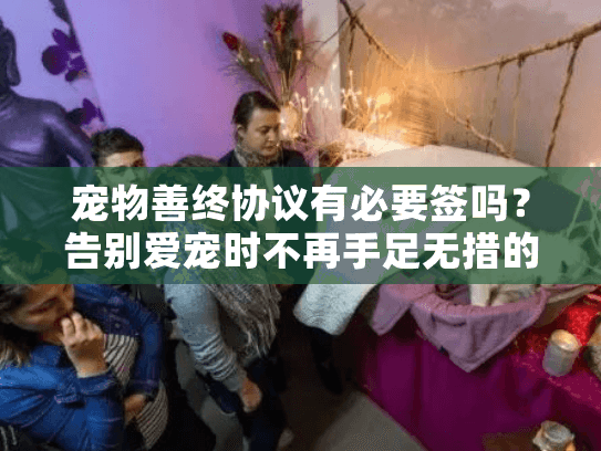 宠物善终协议有必要签吗？告别爱宠时不再手足无措的安心指南