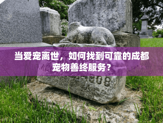 当爱宠离世，如何找到可靠的成都宠物善终服务？