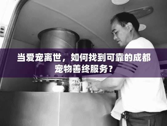 当爱宠离世，如何找到可靠的成都宠物善终服务？