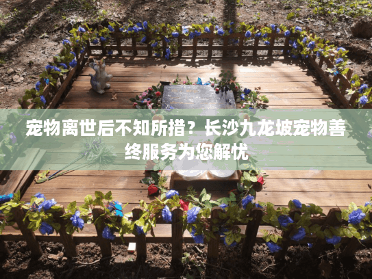 宠物离世后不知所措？长沙九龙坡宠物善终服务为您解忧