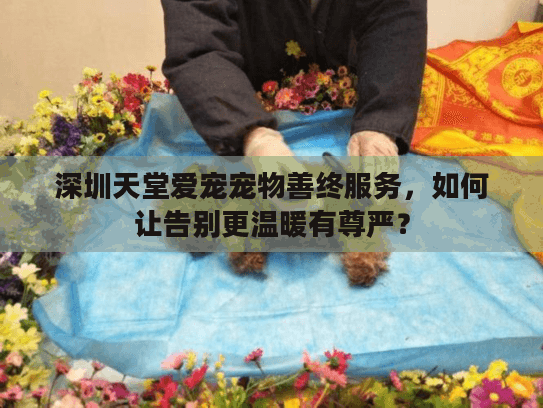 深圳天堂爱宠宠物善终服务，如何让告别更温暖有尊严？