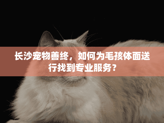 长沙宠物善终，如何为毛孩体面送行找到专业服务？