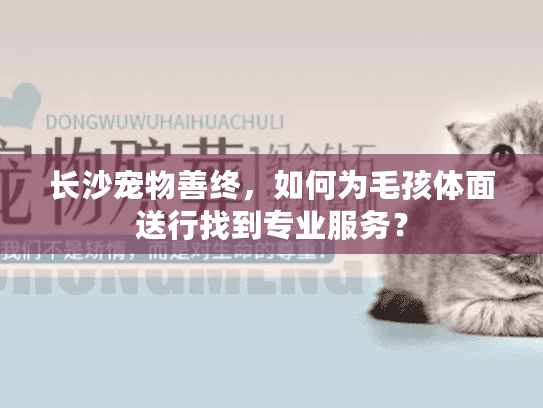 长沙宠物善终，如何为毛孩体面送行找到专业服务？