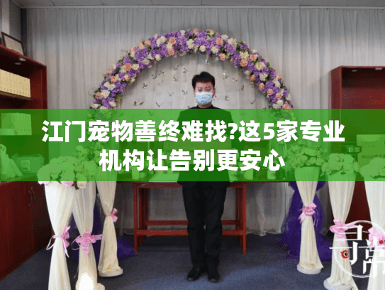 江门宠物善终难找?这5家专业机构让告别更安心