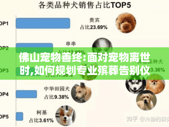 佛山宠物善终:面对宠物离世时,如何规划专业殡葬告别仪式?