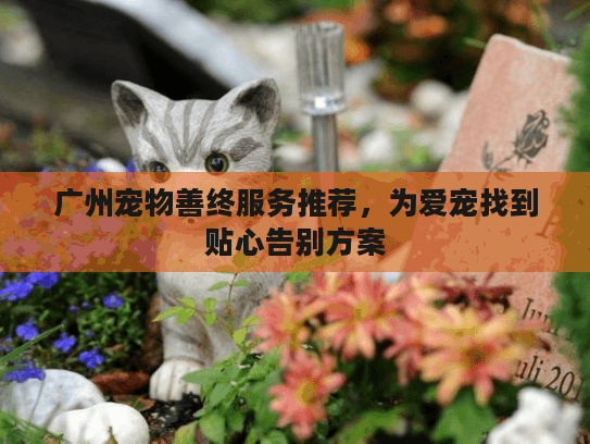 广州宠物善终服务推荐，为爱宠找到贴心告别方案