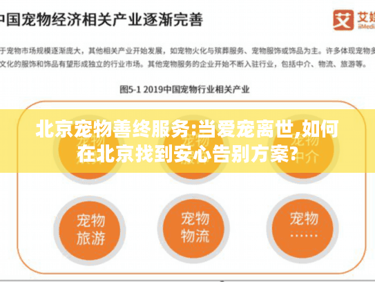 北京宠物善终服务:当爱宠离世,如何在北京找到安心告别方案?