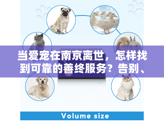 当爱宠在南京离世，怎样找到可靠的善终服务？告别、火化、纪念全指南