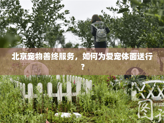 北京宠物善终服务，如何为爱宠体面送行？