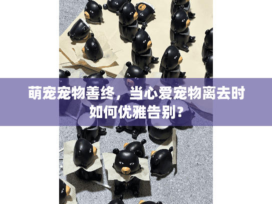 萌宠宠物善终，当心爱宠物离去时如何优雅告别？