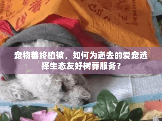 宠物善终植被，如何为逝去的爱宠选择生态友好树葬服务？