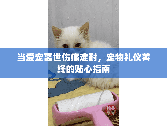 当爱宠离世伤痛难耐，宠物礼仪善终的贴心指南