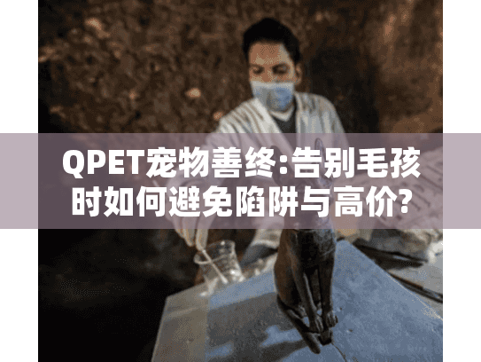 QPET宠物善终:告别毛孩时如何避免陷阱与高价?