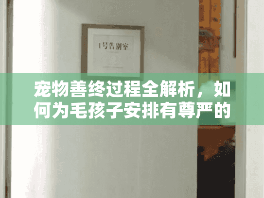 宠物善终过程全解析，如何为毛孩子安排有尊严的告别？