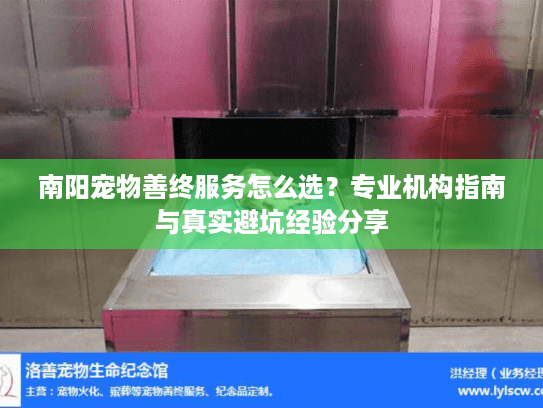 南阳宠物善终服务怎么选？专业机构指南与真实避坑经验分享