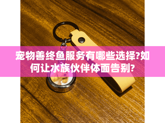 宠物善终鱼服务有哪些选择?如何让水族伙伴体面告别?