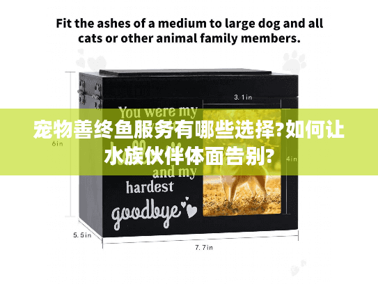 宠物善终鱼服务有哪些选择?如何让水族伙伴体面告别?