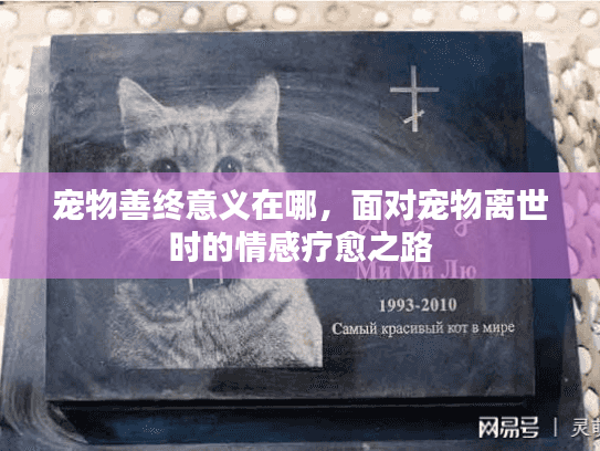 宠物善终意义在哪，面对宠物离世时的情感疗愈之路
