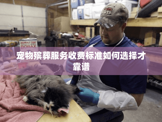 宠物殡葬服务收费标准如何选择才靠谱