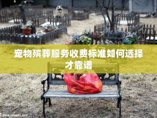 宠物殡葬服务收费标准如何选择才靠谱