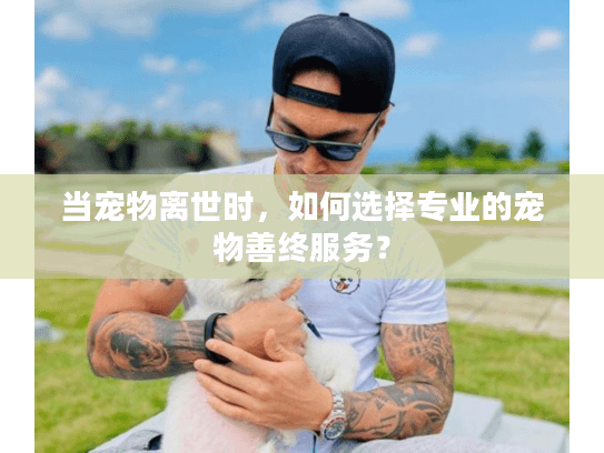 当宠物离世时，如何选择专业的宠物善终服务？