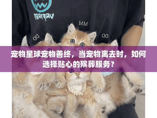 宠物星球宠物善终，当宠物离去时，如何选择贴心的殡葬服务？