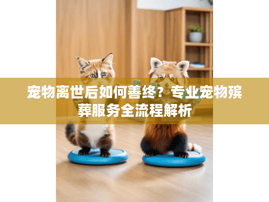 宠物离世后如何善终？专业宠物殡葬服务全流程解析