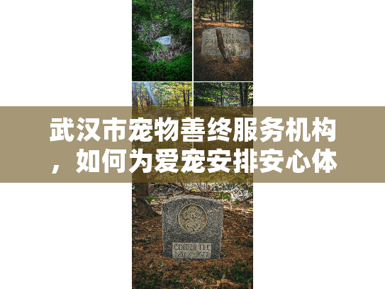 武汉市宠物善终服务机构，如何为爱宠安排安心体面的告别服务？