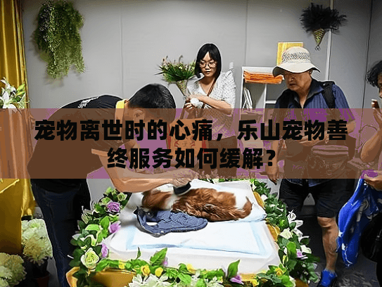 宠物离世时的心痛，乐山宠物善终服务如何缓解？