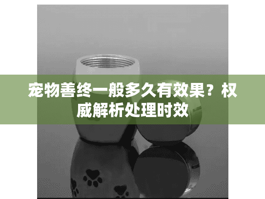 宠物善终一般多久有效果？权威解析处理时效