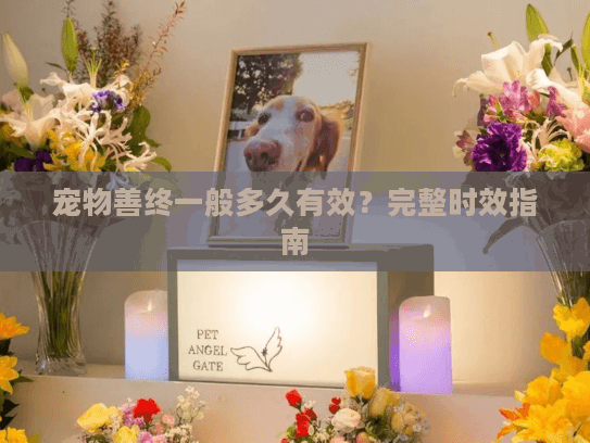 宠物善终一般多久有效？完整时效指南