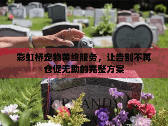彩虹桥宠物善终服务，让告别不再仓促无助的完整方案