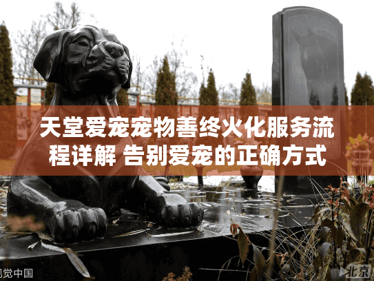 天堂爱宠宠物善终火化服务流程详解 告别爱宠的正确方式