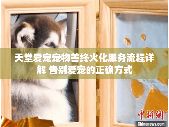 天堂爱宠宠物善终火化服务流程详解 告别爱宠的正确方式