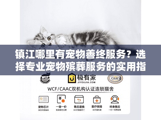 镇江哪里有宠物善终服务？选择专业宠物殡葬服务的实用指南