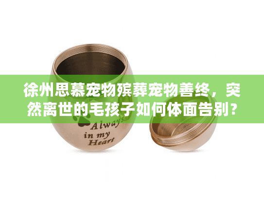 徐州思慕宠物殡葬宠物善终，突然离世的毛孩子如何体面告别？