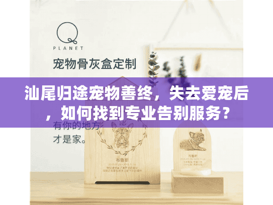 汕尾归途宠物善终，失去爱宠后，如何找到专业告别服务？