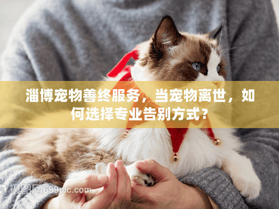 淄博宠物善终服务，当宠物离世，如何选择专业告别方式？