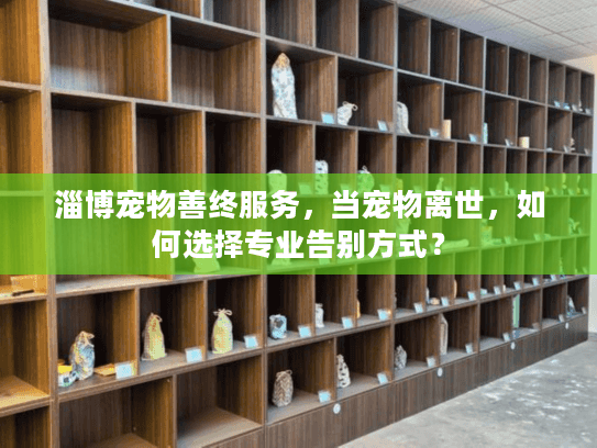 淄博宠物善终服务，当宠物离世，如何选择专业告别方式？