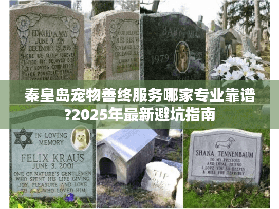 秦皇岛宠物善终服务哪家专业靠谱?2025年最新避坑指南