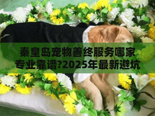 秦皇岛宠物善终服务哪家专业靠谱?2025年最新避坑指南