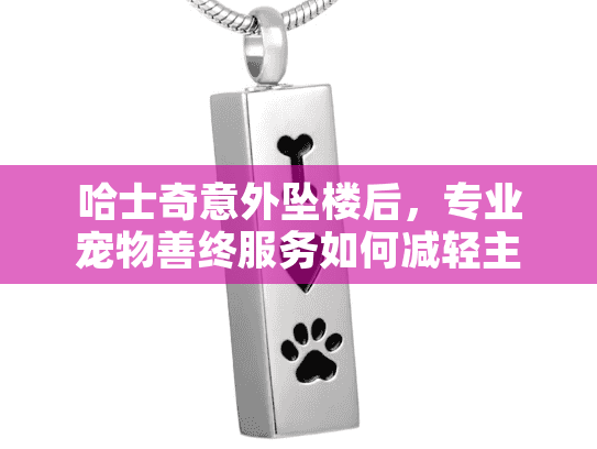 哈士奇意外坠楼后,专业宠物善终服务如何减轻主人伤痛?