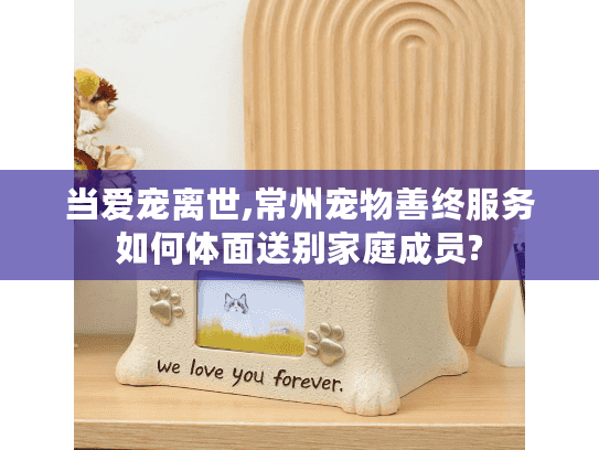 当爱宠离世,常州宠物善终服务如何体面送别家庭成员?