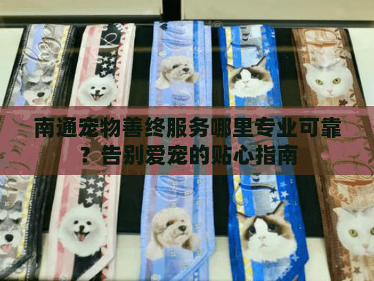 南通宠物善终服务哪里专业可靠？告别爱宠的贴心指南