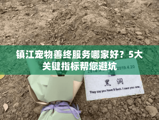 镇江宠物善终服务哪家好？5大关键指标帮您避坑