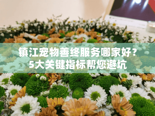镇江宠物善终服务哪家好？5大关键指标帮您避坑