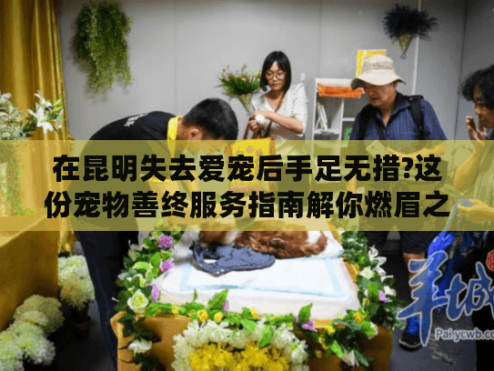 在昆明失去爱宠后手足无措?这份宠物善终服务指南解你燃眉之急