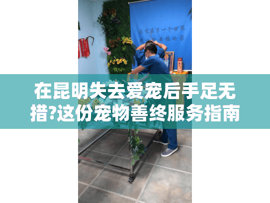 在昆明失去爱宠后手足无措?这份宠物善终服务指南解你燃眉之急