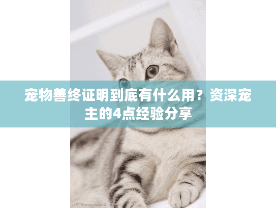 宠物善终证明到底有什么用？资深宠主的4点经验分享